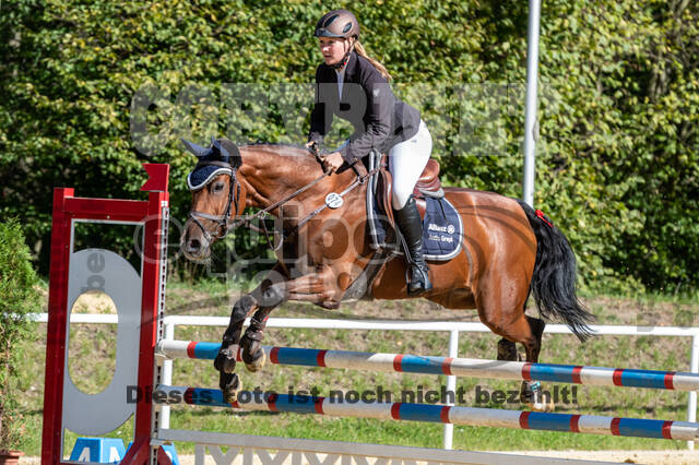 RFV Dinslaken-Hiesfeld (Herbstturnier)