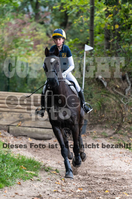 Goldene Schärpe 2020 - Pferde