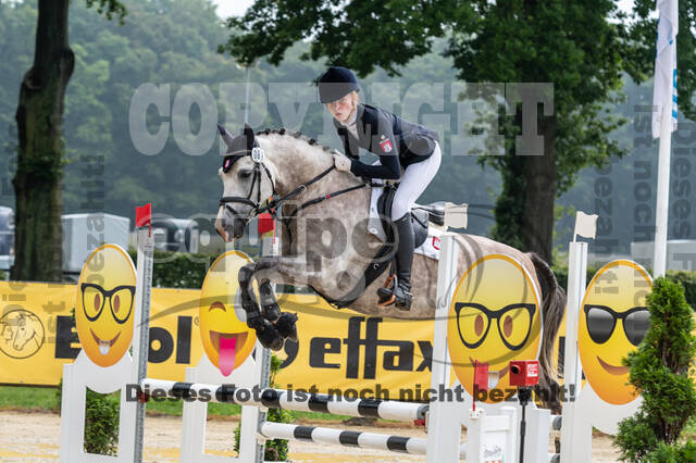 Goldene Schärpe 2021 - Ponys