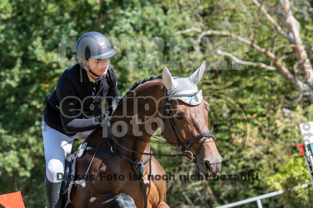 RFV Dinslaken-Hiesfeld (Herbstturnier)