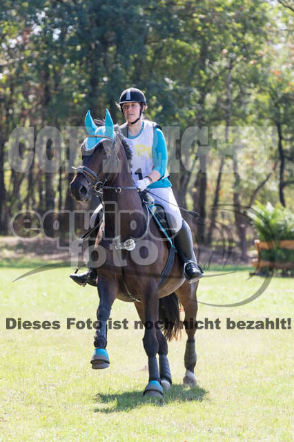 Vielseitigkeitsturnier RSV St. Hubertus Wesel Obrighoven