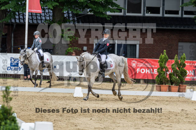 Goldene Schärpe 2021 - Ponys