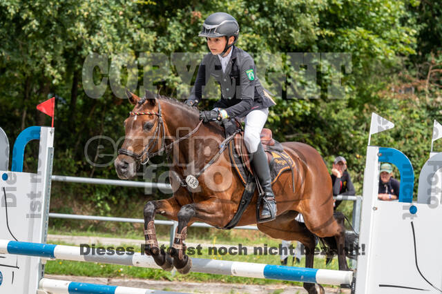 Late-Entry-Vielseitigkeit Langenfeld (06.+07.07.2020)