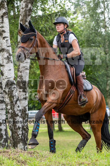Hunter Geländetraining 10.07.2021 (Sonsbeck)