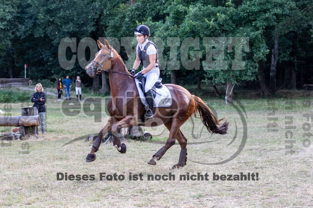 Late-Entry Vielseitigkeit Hamminkeln/Wesel (01.+02.08.2020)