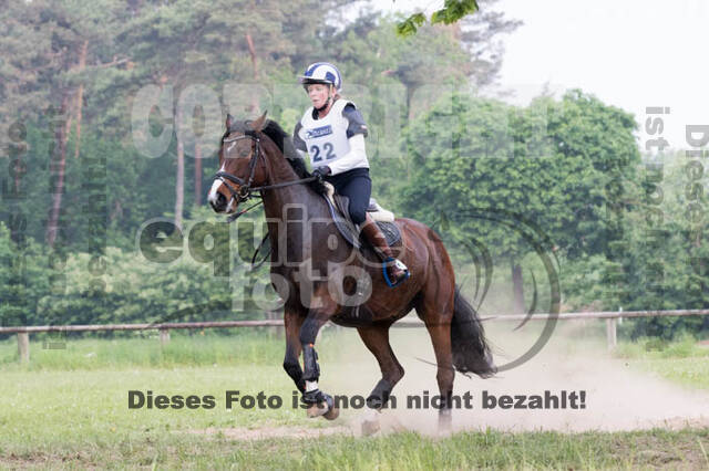 Vielseitigkeitsturnier ZRFV von Lützow Hamminkeln