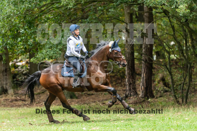 Vielseitigkeit RSV Wesel Obrighoven (26.+27.09.2020)