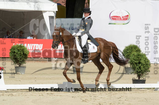 FEI European Championship Eventing 2017