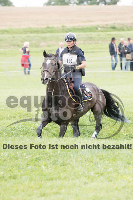 FEI European Championship