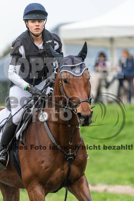 Goldene Schärpe 2020 - Pferde