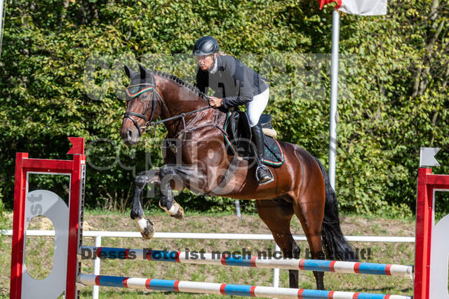 RFV Dinslaken-Hiesfeld (Herbstturnier)
