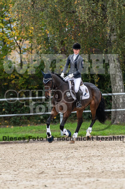 Reiter Schleswig-Holstein