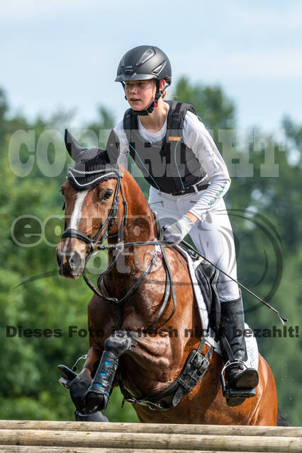 Goldene Schärpe 2021 - Ponys