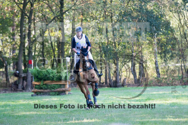 Vielseitigkeitsturnier RSV St. Hubertus Wesel Obrighoven