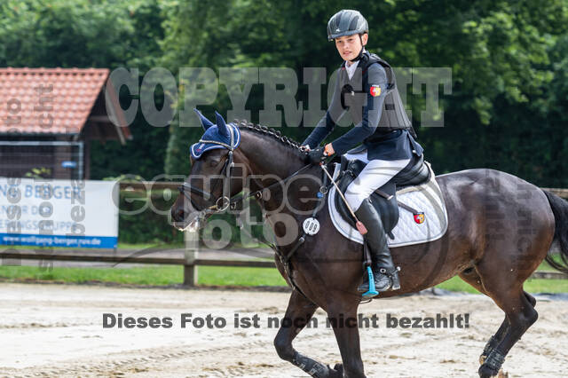 Goldene Schärpe 2021 - Ponys