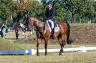 Kronenberg - De Peelbergen (August 2020)