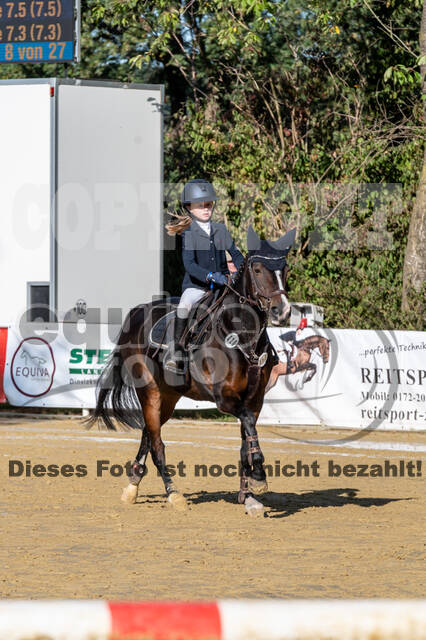 RFV Dinslaken-Hiesfeld (Herbstturnier)