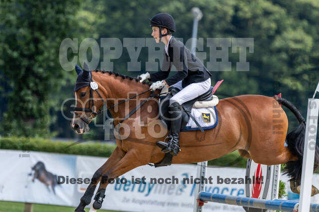 Goldene Schärpe 2021 - Ponys