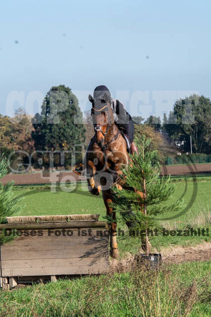 Vielseitigkeitslehrgang mit Jürg Kurbel (9.+10.11.2019)