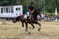 Late-Entry Vielseitigkeit Hamminkeln/Wesel (01.+02.08.2020)