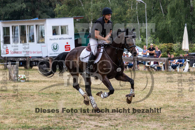 Late-Entry Vielseitigkeit Hamminkeln/Wesel (01.+02.08.2020)