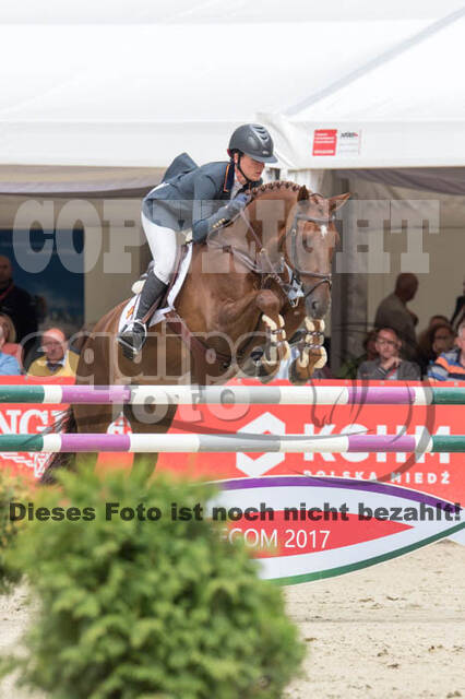 FEI European Championship Eventing 2017