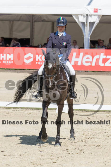 FEI European Championship