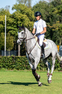 Kronenberg - De Peelbergen (August 2020)