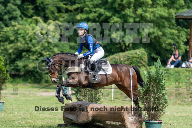 Goldene Schärpe 2021 - Ponys