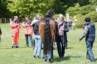 Sterne über Münster 2019 - CCI***S