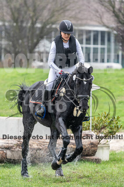 Goldene Schärpe 2020 - Pferde