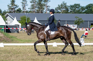 Kronenberg - De Peelbergen (August 2020)