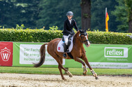 Goldene Schärpe 2021 - Ponys