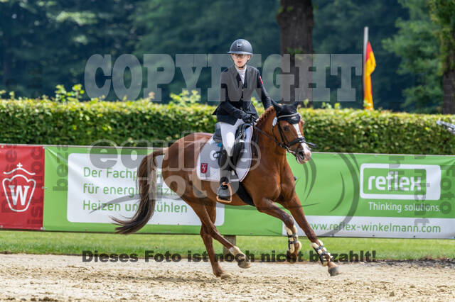 Goldene Schärpe 2021 - Ponys