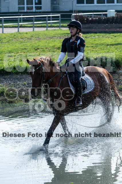 IGV Lehrgang der Sieger der Cups mit Frank Ostholt