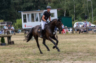 Late-Entry Vielseitigkeit Hamminkeln/Wesel (01.+02.08.2020)