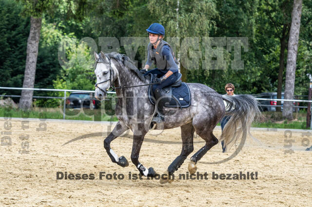 Hunter Geländetraining 10.07.2021 (Sonsbeck)