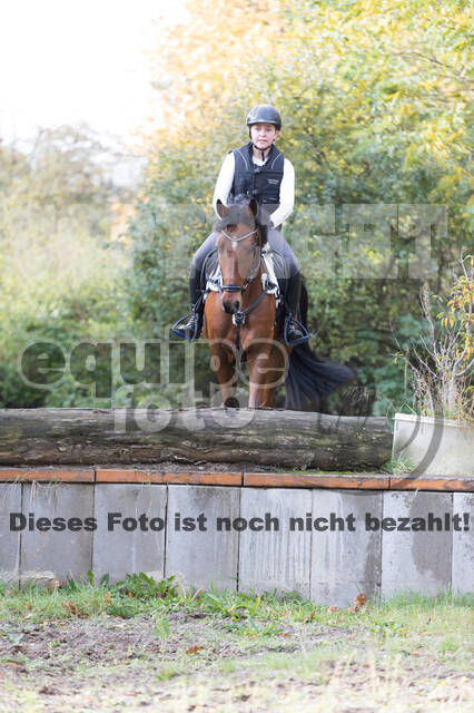 IGV Lehrgang der Sieger der Cups mit Frank Ostholt
