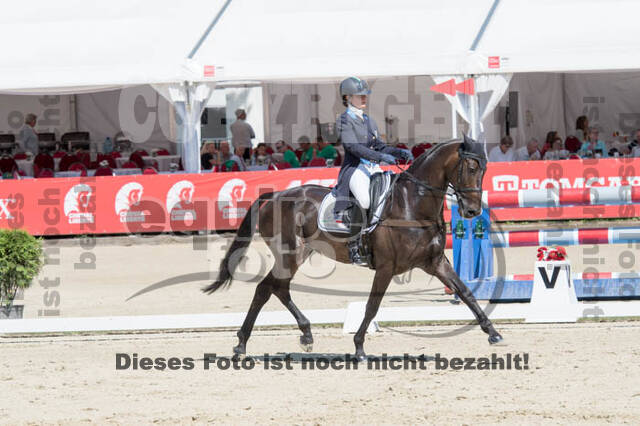 FEI European Championship