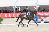 FEI European Championship