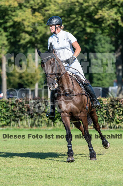 Kronenberg - De Peelbergen (August 2020)