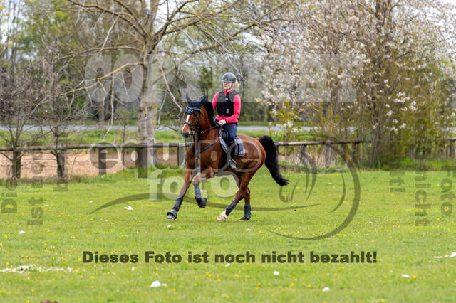 Geländetraining ZRFV Hamminkeln (24+25.04.2021)