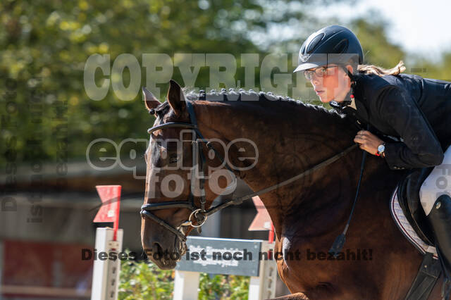 RFV Dinslaken-Hiesfeld (Herbstturnier)