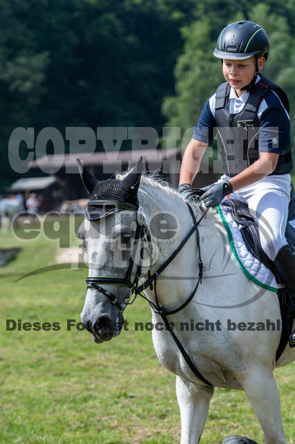 Goldene Schärpe 2021 - Ponys