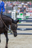FEI European Championship Eventing 2019