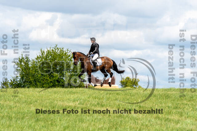 Bonn-Rodderberg Late-Entry-Vielseitigkeit (30.06.2020)