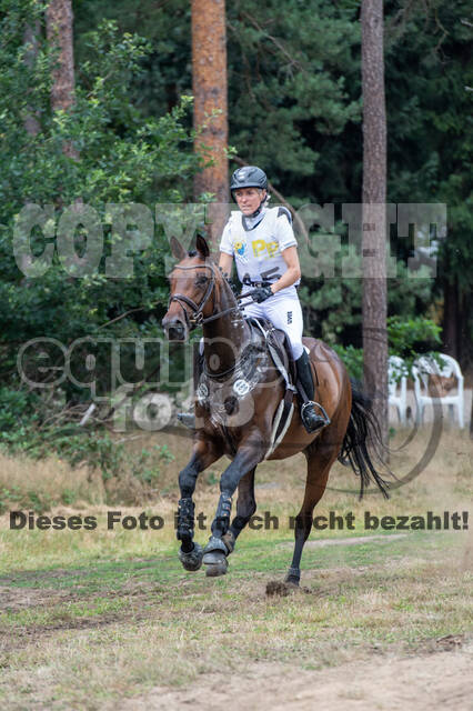 Late-Entry Vielseitigkeit Hamminkeln/Wesel (01.+02.08.2020)