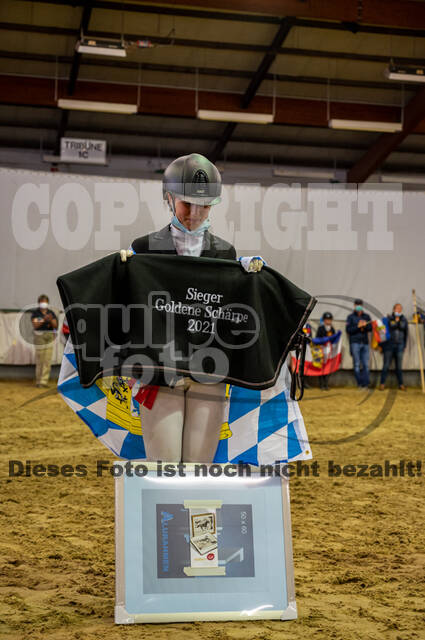 Goldene Schärpe 2021 - Ponys