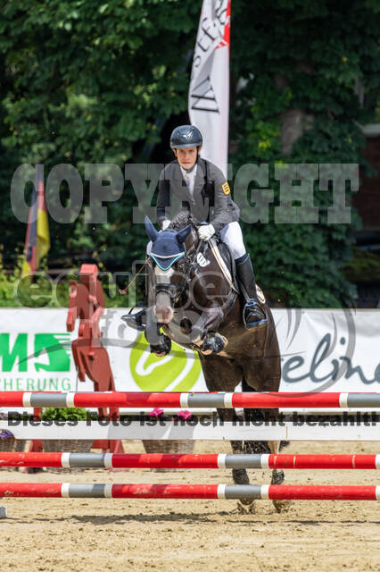 Goldene Schärpe 2021 - Ponys