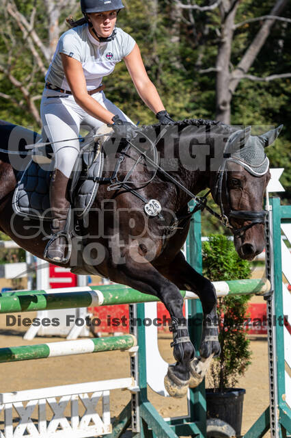 RFV Dinslaken-Hiesfeld (Herbstturnier)